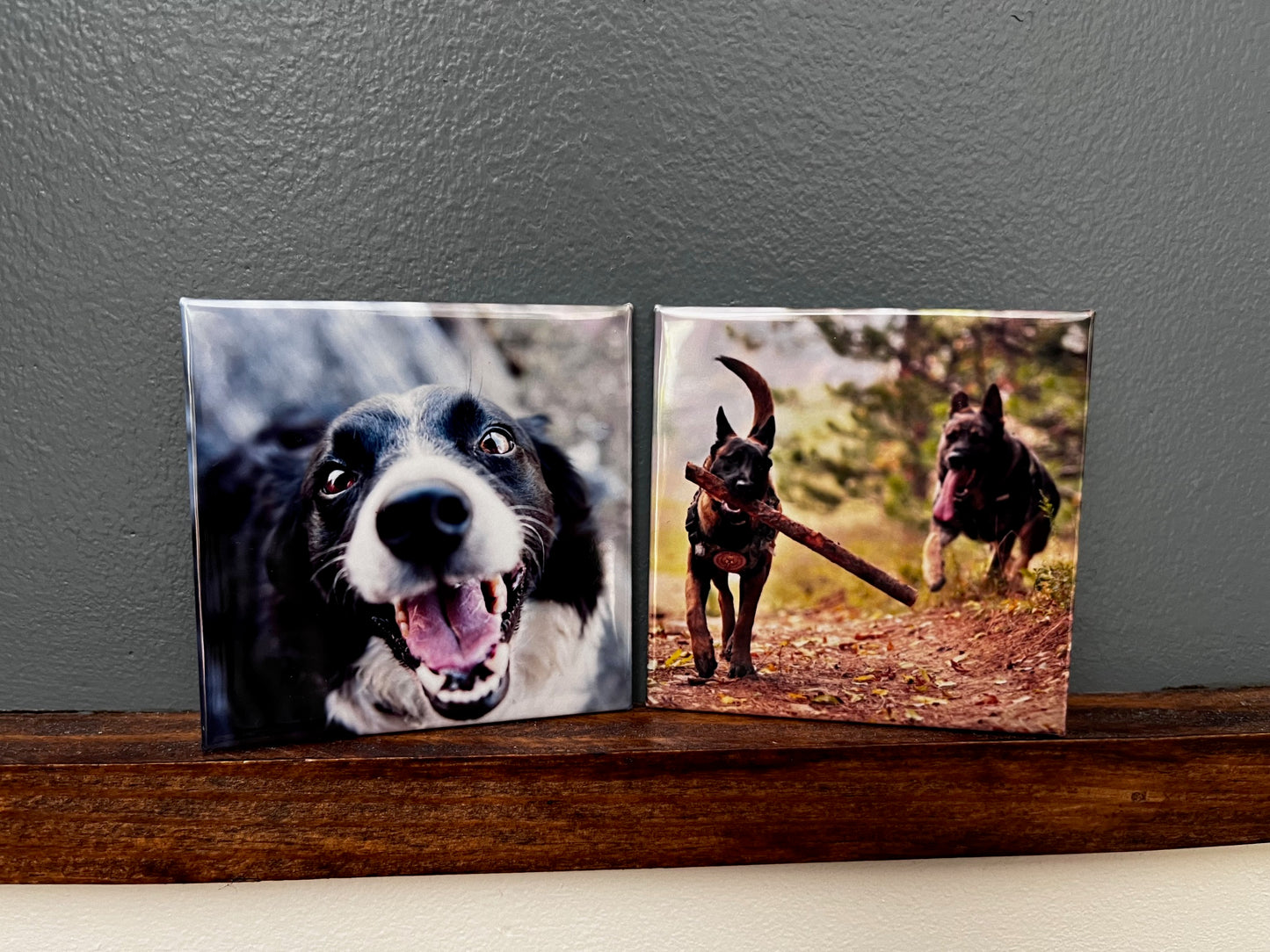 2.5x2.5 Custom Photo Magnets